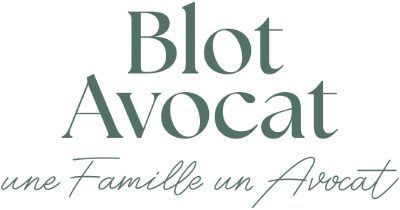 Blot avocat en divorce et droit de la famille à lille